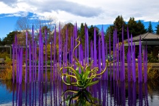 Chihuly 036
